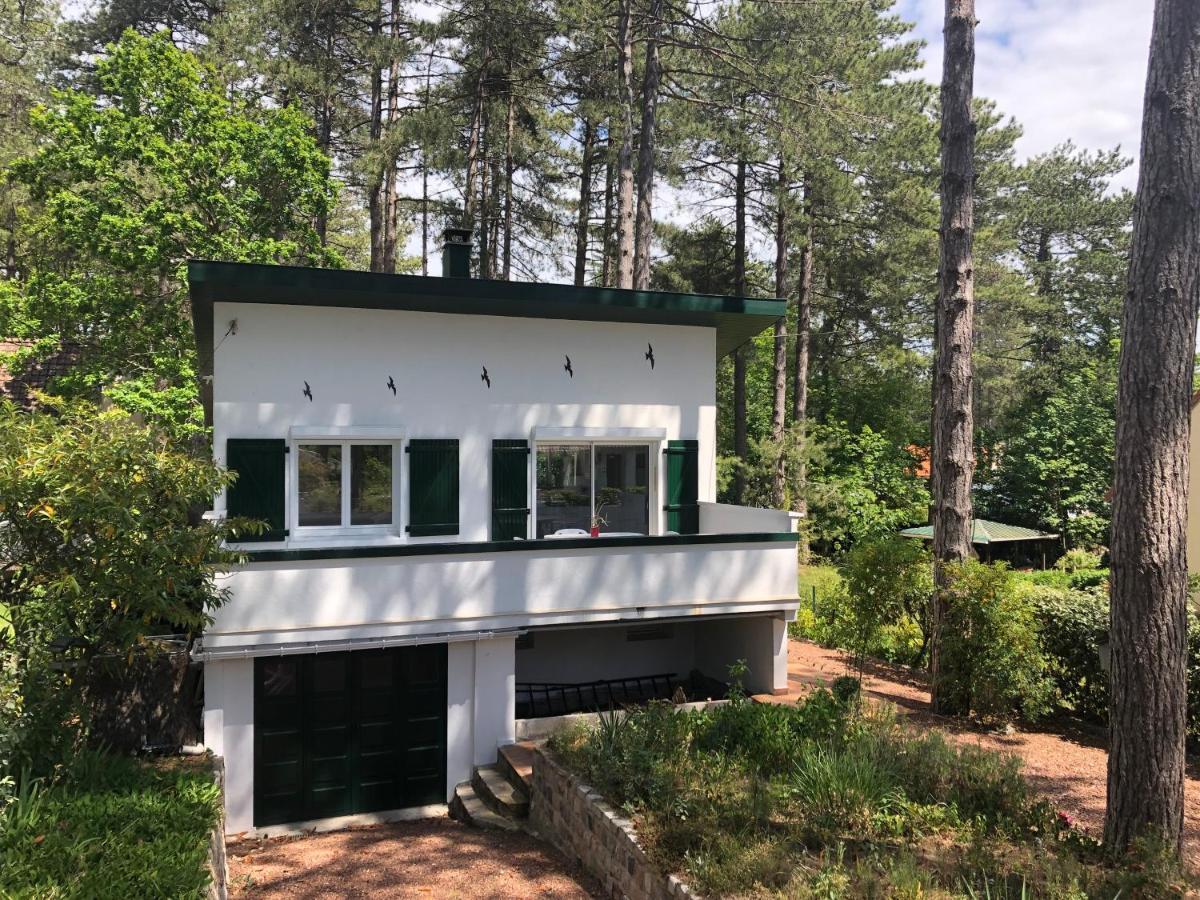 Maison Sapinettes Quend Kültér fotó